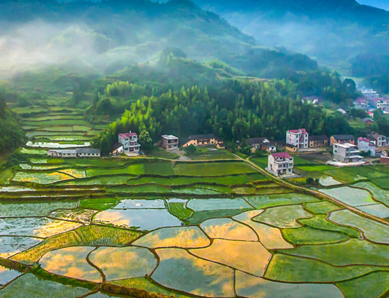 3868la银河总站(china)股份有限公司 - Make It Possible