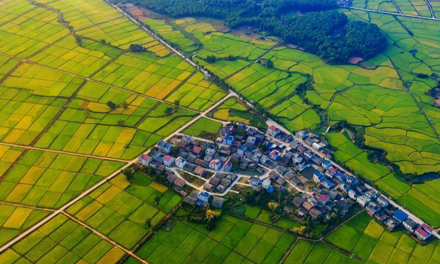 3868la银河总站(china)股份有限公司 - Make It Possible