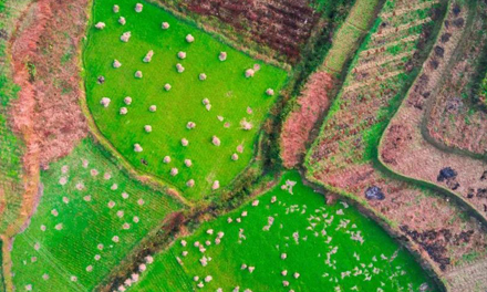 3868la银河总站(china)股份有限公司 - Make It Possible